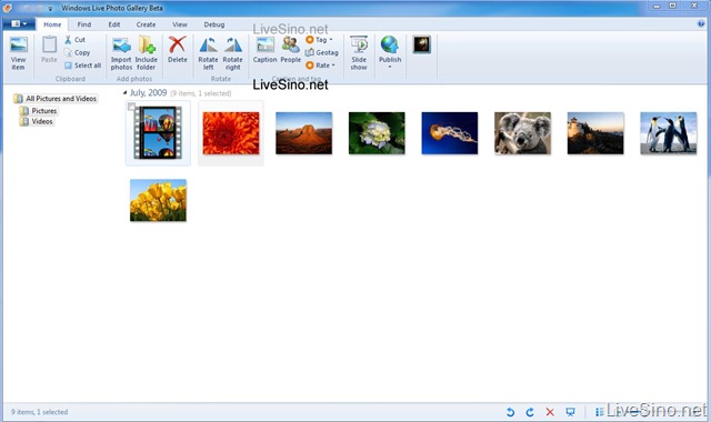 Windows Live Photo Gallery Wave 4 地理标签 Geotag、Ribbon 界面等截图