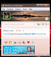 关闭 Windows Live Messenger 2009 RC 中的 Aero 效果