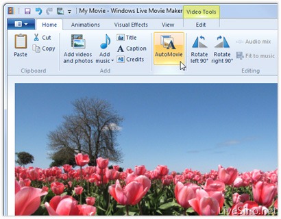 新版 Windows Live Movie Maker 预览