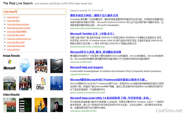 The Real Live Search – Long Zheng 的 Bing API 实验项目