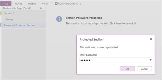 OneNote Web App 支持密码保护笔记分区