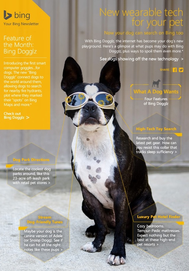 必应 Bing 愚人节产品：宠物眼镜和翻译器